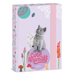 Ars Una A5 box na zošity Cute Animals-kitten (5368) 24